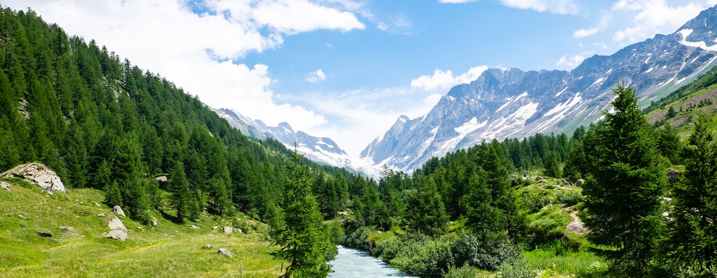 Panoramic view of a lush Swiss valley surrounded by mountains